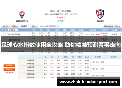 足球心水指数使用全攻略 助你精准预测赛事走向